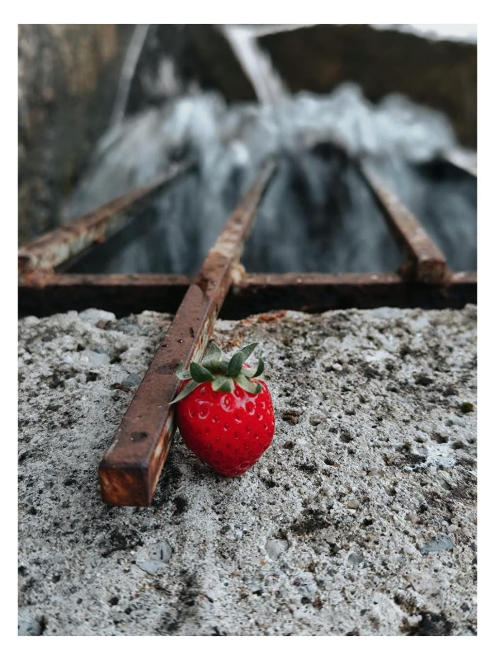 Le Moulin De Mitou Otel Auriac-du-Périgord Dış mekan fotoğraf